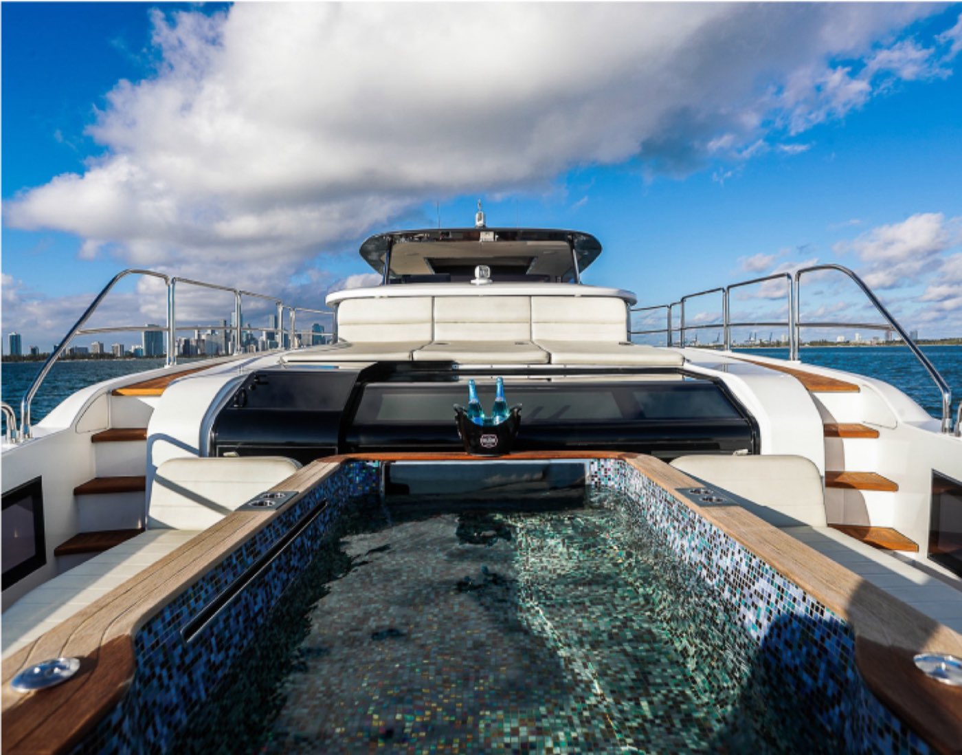 Leopard 60' — photo 9